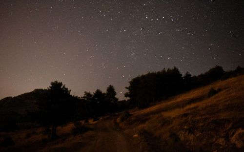 Scenic view of trees against sky at night