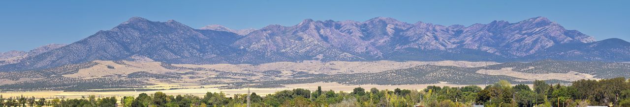 Panoramic view of trees and rocky mountains against clear sky