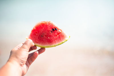 Watermelon slice in hand. copy space for text.