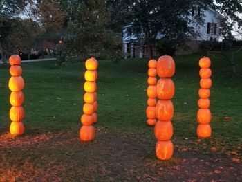 View of pumpkins against trees