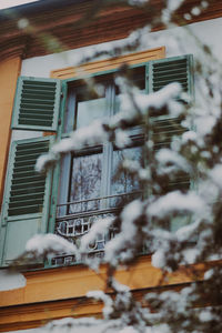 snow