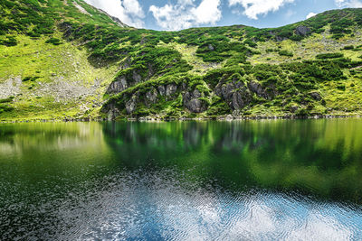 Scenic view of lake by trees against sky