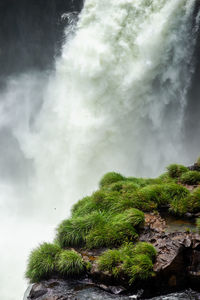 Scenic view of waterfall against trees