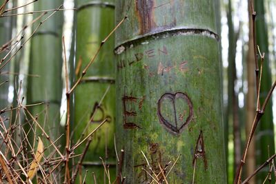 Close-up of carvings on bamboos