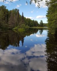 Scenic view of lake in forest against sky