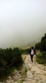 Rear view of people walking on mountain against clear sky