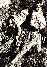 Low angle view of building