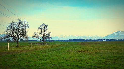 Scenic view of field against sky