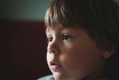 Portrait of cute boy