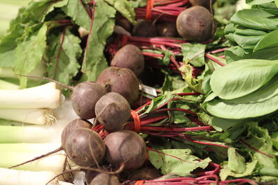 Close-up of fruits growing in farm