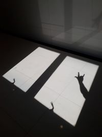 Shadow of people on tiled floor