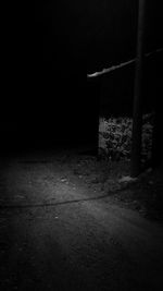 View of trees at night