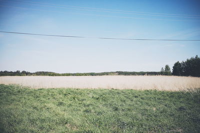 Scenic view of landscape against blue sky