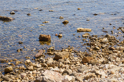 High angle view of rocks on beach
