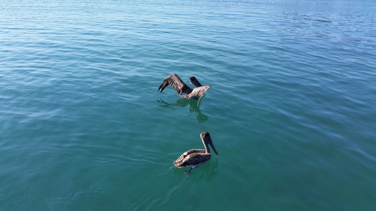 South Florida IntraCoastal