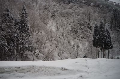 Close-up of snow covered landscape