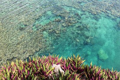 High angle view of beach