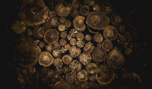 Full frame shot of logs in forest