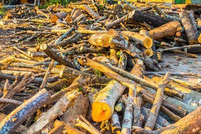 High angle view of firewood on barbecue grill