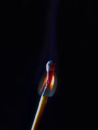 Close-up of lit candles over black background