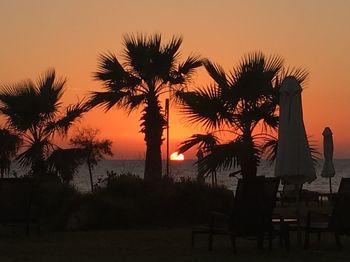 Silhouette palm trees on beach during sunset