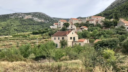 Houses by trees and mountains against sky