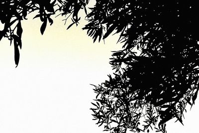 Low angle view of trees against clear sky