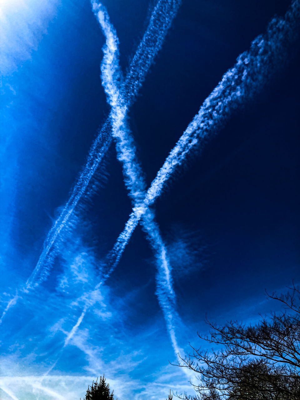 sky, vapor trail, cloud, blue, nature, no people, tree, sunlight, low angle view, plant, wave, air vehicle, outdoors, airplane