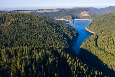 Aerial drone shot of a lake and green forest in belis, transylvania, romania