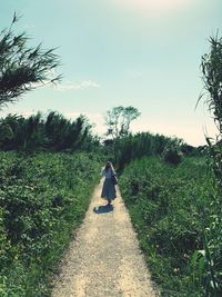 Rear view of woman walking on road amidst trees against sky