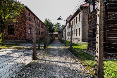 Empty alley amidst buildings in city