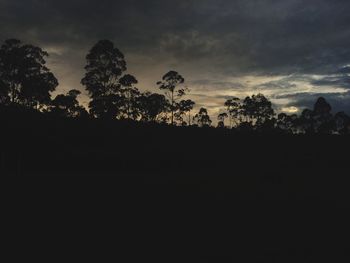 Low angle view of silhouette trees against sky