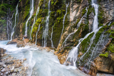 Scenic view of waterfall in forest