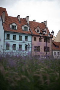 Houses against sky