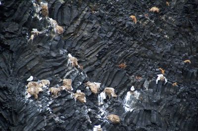 Rock formations on rock formation