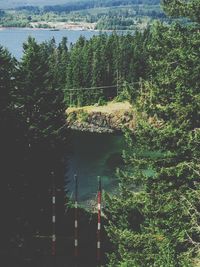 River with trees in background