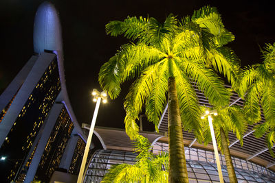 Low angle view of palm trees against sky at night