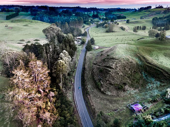 High angle view of road along trees
