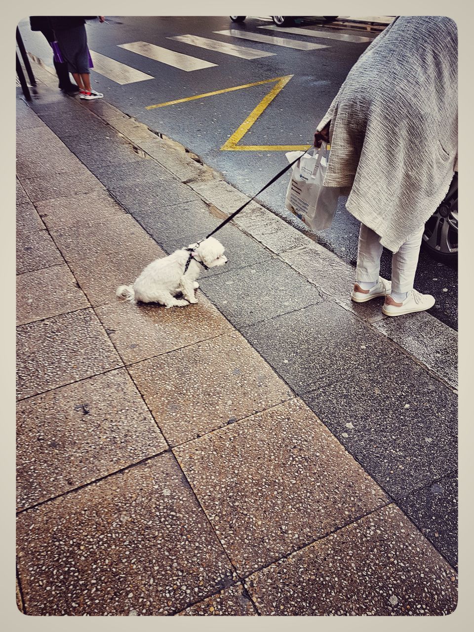 LOW SECTION OF PEOPLE ON SIDEWALK