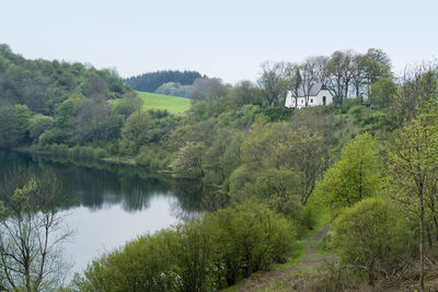 Scenic view of river amidst trees against clear sky