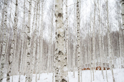 Full frame shot of snow