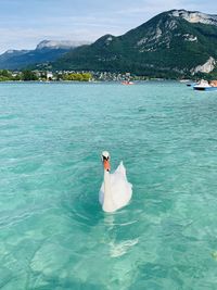 Man swimming in sea