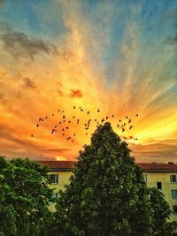Bird flying in sky at sunset