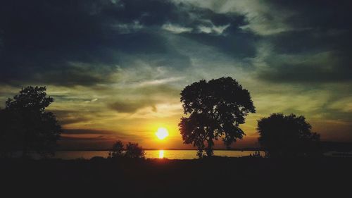 Silhouette trees on field against sky during sunset