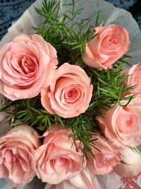 High angle view of rose bouquet