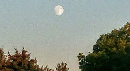 Scenic view of moon in water against sky