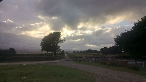 Trees on field against storm clouds