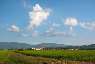 Scenic view of field against sky