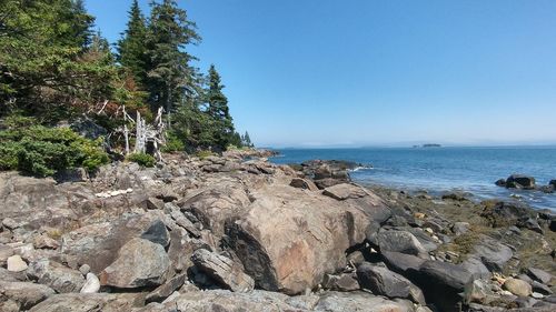 Scenic view of sea against clear sky