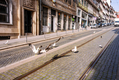 View of street and buildings